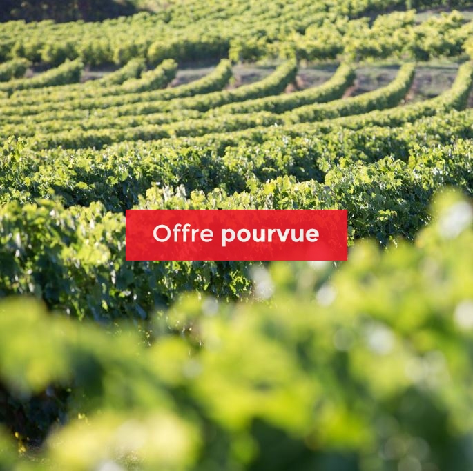 Chargé/e de mission Vignobles et Découvertes