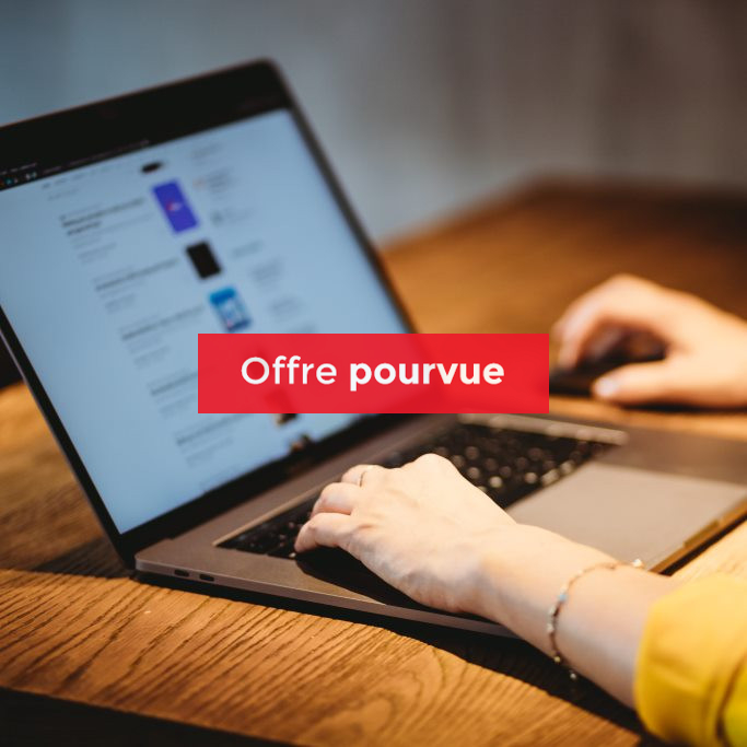 Chargé/e de contenu et référencement SEO