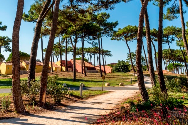 club-med-green