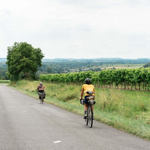 Stage assistant.e chargé.e de communication & marketing Coordination Mutualisée des Véloroutes