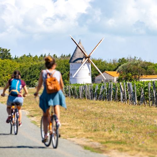 Stage assistant.e chargé.e de communication & marketing Œnotourisme