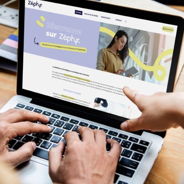 Chargé.e de mission DATA